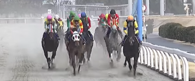 11月26日[高確馬(地方Ver)]川崎競馬(1R,8R,11R劇場版ハイスクール・フリート制作記念)