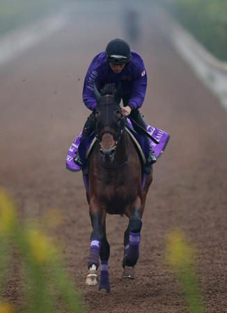 【天皇賞秋】マカヒキ復活へ 友道「3歳の一番いいときの出来に戻りつつある」