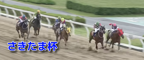 【さきたま杯】データまとめ＆予想