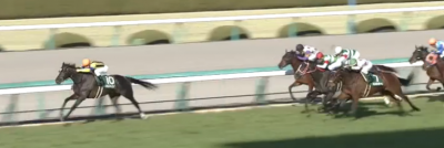 チューリップ賞(2018)データ分析！前走重賞だった馬で？？は複勝率100％