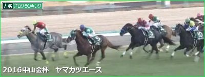 中山金杯(2017年)データ競馬予想分析！前走OP特別だった馬は？？？で(0-0-0-32)