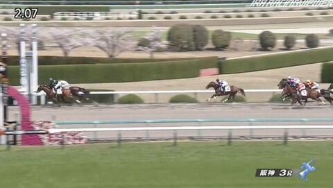 【競馬】阪神3Ｒ未勝利戦　武豊騎乗のキタサンブラックの全弟エブリワンブラックがＶ