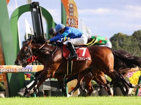 【スワンS】オフトレイルが差し切りレコードV!2着はワイドラトゥール波乱決着