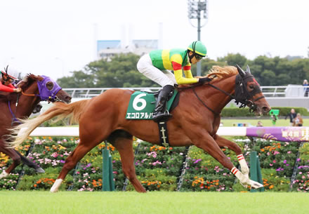 【サウジアラビアRC】エコロアルバ強すぎワロタ