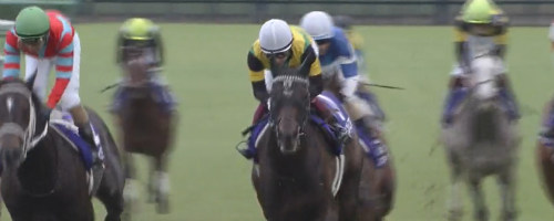 【天皇賞春】データ消去法から残る5頭