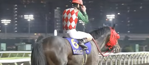 JBCスプリント(2021)データ分析！地方競馬交流重賞