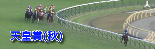 天皇賞秋データ(1)＆MRランクベスト5・重/不良適性ランク