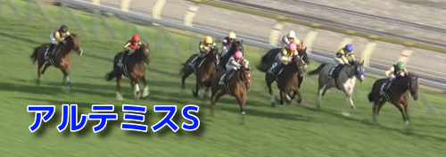 東京芝1600m/騎手・種牡馬データ(2023アルテミスS)＆【天皇賞秋】データ消去法から残る4頭