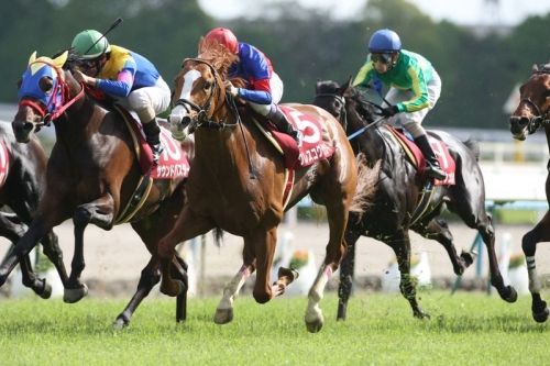 【競馬ネタ】すっかり聞かなくなった競馬の格言