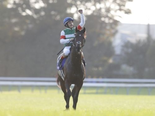 【天皇賞秋】ドバイで惨敗したレイデオロが勝てる日本競馬のレベルｗ