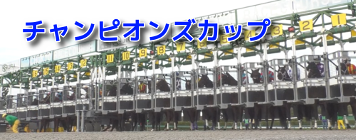 チャンピオンズCの予想　買いデータ＆データ消去法まとめ