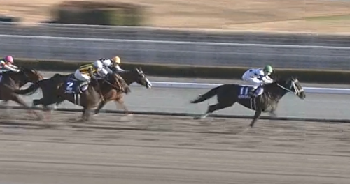 チャンピオンズカップ(2021)データ分析！前走●●だった馬は(0-0-0-39)