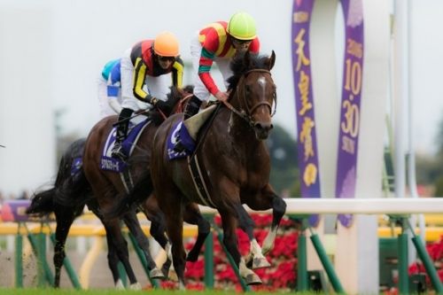 【競馬ネタ】日本三大「早熟と思ってたら晩成型」