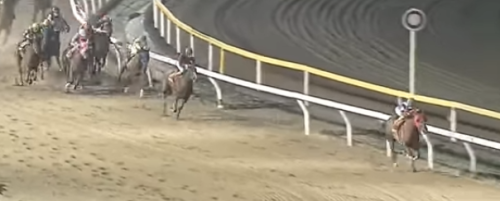 クイーン賞(2021)過去10年の傾向 人気・配当・年齢・所属・枠・馬番データ