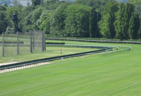 【凱旋門賞】日本馬大惨敗w w w w w