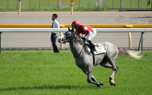 【競馬】ゴールドシップが最強馬と呼ばれないのはなぜか 本気で走ったら誰も勝てない