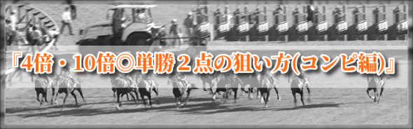 《先行受付中!!》先着30名様特典付『4倍・10倍◎単勝2点の狙い方(コンピ編)』のご案内