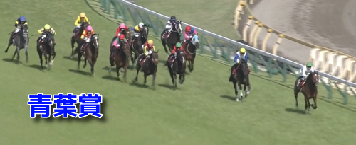 青葉賞データ(2)　前走重賞・OP特別だった馬で●●は(0-0-0-29)