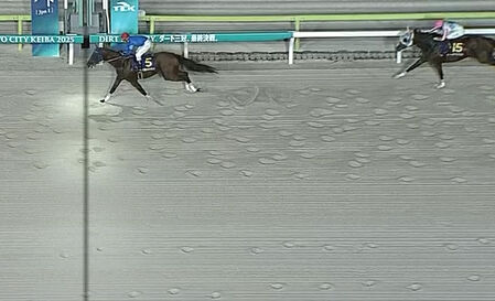 【ジャパンダートC】逃走ナルカミが圧勝！ナチュラルライズは2着で三冠ならず