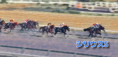 シリウスSの予想　買いデータ＆データ消去法まとめ