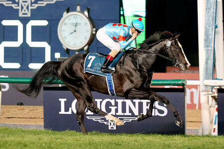 イクイノックス以外で当時世界一だったと思う日本調教馬おる?