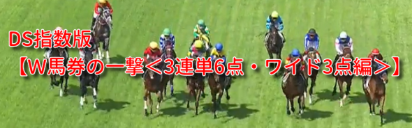 《NEW》11月からは3連単の一撃！DS指数版【Ｗ馬券の一撃＜3連単6点・ワイド3点編＞】