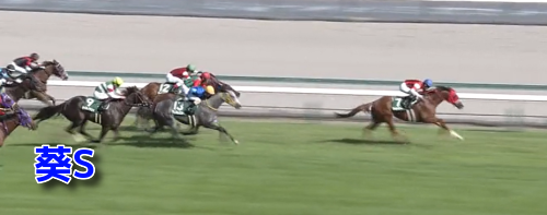 葵Sデータ(1)＆MRランクベスト5・重/不良適性ランク