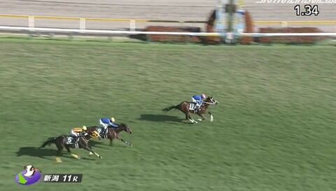 【競馬】新潟2歳Sは戸崎騎乗のショックアクションがV