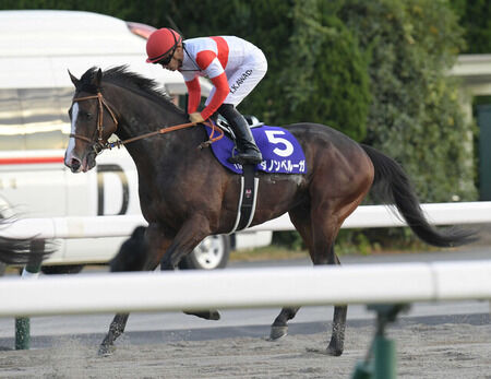 【札幌記念】ダノンベルーガ、ヒシイグアスが緊急参戦で超豪華メンバー