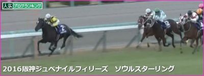 阪神芝1600m・外/騎手・種牡馬データ(2017阪神ジュベナイルフィリーズ)