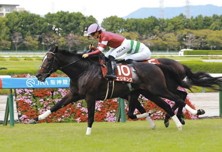 エリキング、有馬勝ちそうじゃね？