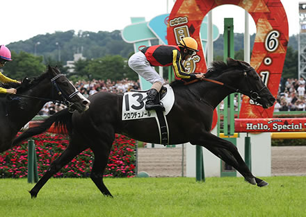 クロワデュノール凱旋門賞前哨戦の1着賞金40000ユーロ（6779600円）