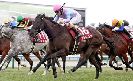 ナムラクレア阪神C→来年の高松宮記念で引退決定