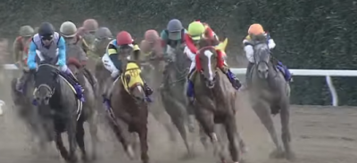 【JBCレディスクラシック】人気・配当・馬齢・所属データ