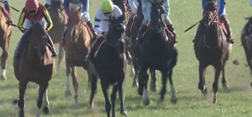 90％＆80％3着内に来る馬と中山記念ダノンザキッド,阪急杯ダイアトニックの勝つ確率/3着内に来る確率