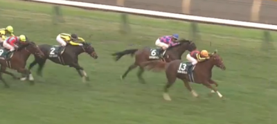 【アルテミスS】データまとめ＆予想