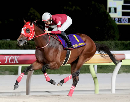リアステからダートの史上最強馬が出るとは思わなかったよな