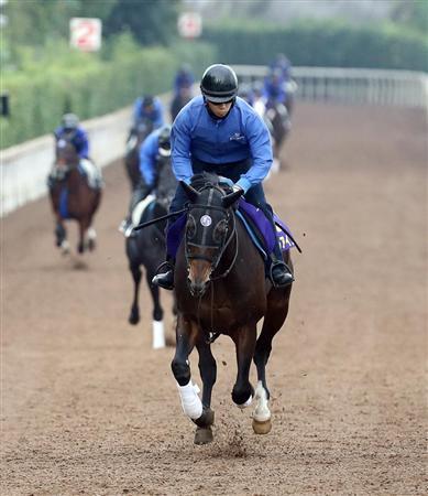 【天皇賞秋】アルアインって強いと思う？