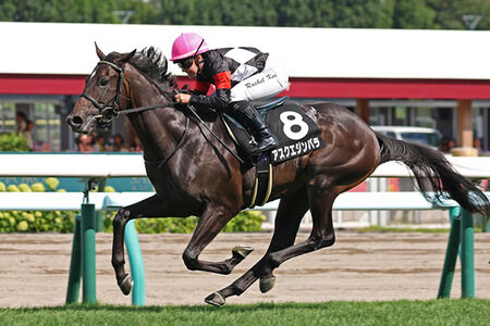 【競馬予想】[1]第11回サウジアラビアロイヤルカップ(GⅢ) /2025