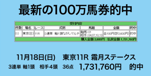 去年1年間で29回100万馬券当ててる人がいました。