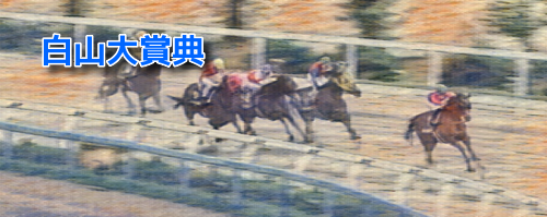 白山大賞典(2023)過去10年の傾向　人気・配当・年齢・所属・枠・馬番データ