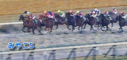 みやこステークス(2022)データ分析！3歳/5歳/6歳馬で？？は(0-0-0-34)