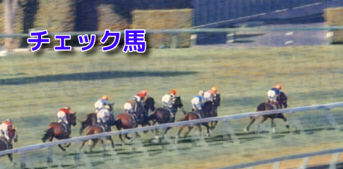 チェック馬(9月23日～24日)