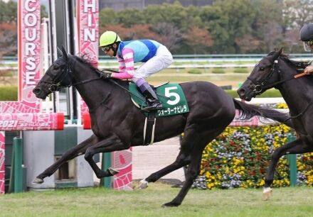 22年桜花賞2着ウォーターナビレラが引退