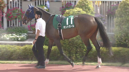 ボンドガール、ルメール「どうしてだかわからない」 手塚師「敗因はわかりません」