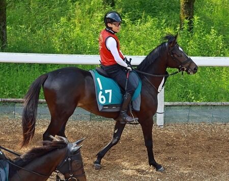 コントレイル産駒5億2000万円サガルマータついにデビュー決定