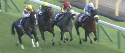 【天皇賞秋】データまとめ&予想