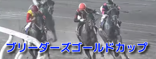 ブリーダーズゴールドカップ(2023)データ分析！地方競馬交流重賞