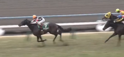 きさらぎ賞(2018)データ分析　前走OP/500万下だった馬で？？は複勝率81.3%