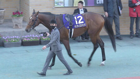 【マイルCS南部杯】サンライズジパングとはなんだったのか